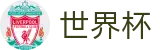 2026国际足联世界杯官方首选投注平台_买球真假辨别指南